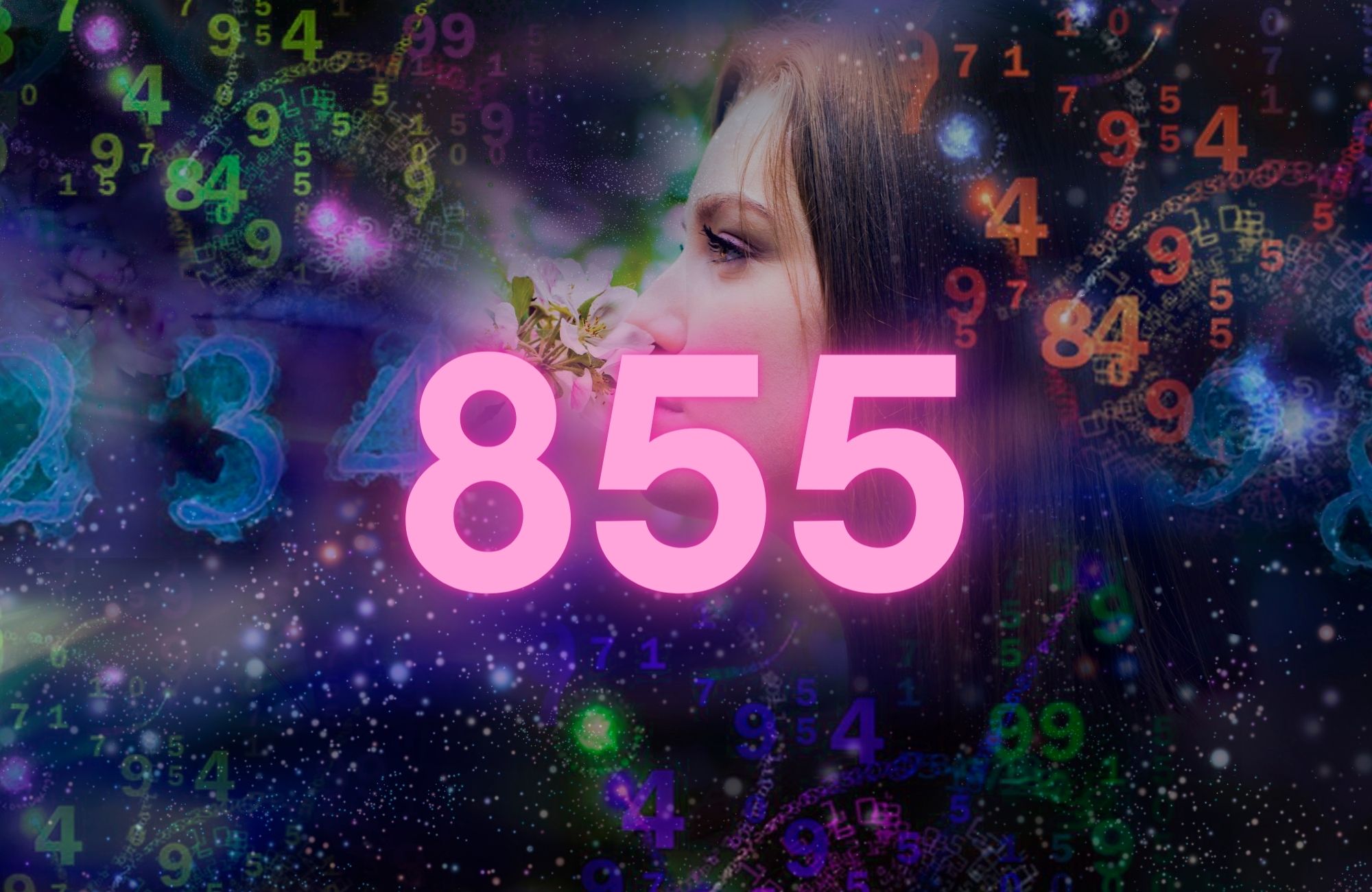 What Does 855 Mean in Numerology - Love Inspire Destiny